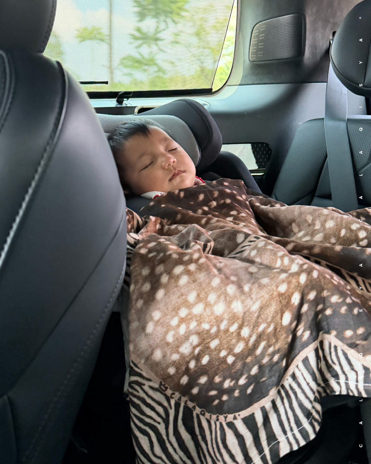 LODGE BONNIE SWADDLE CLASSIC 2.0 IN D
